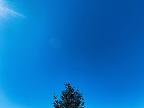 thumbnail_IMG_9828