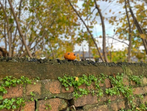 thumbnail_IMG_1211