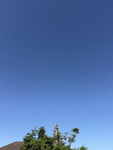 熱波
