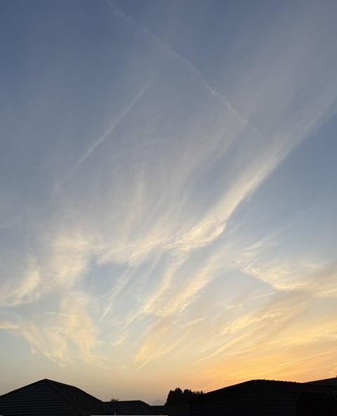 夕日