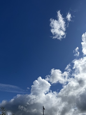 空