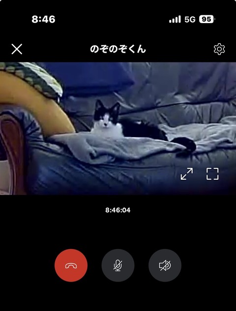 のぞのぞ