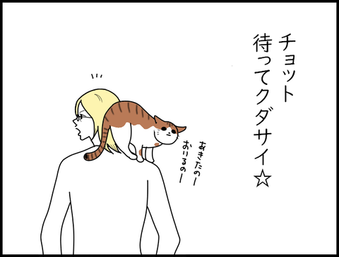 後ろダッダ２猫