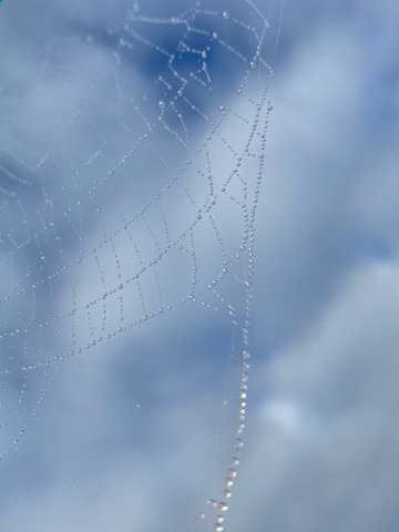 thumbnail_IMG_8803