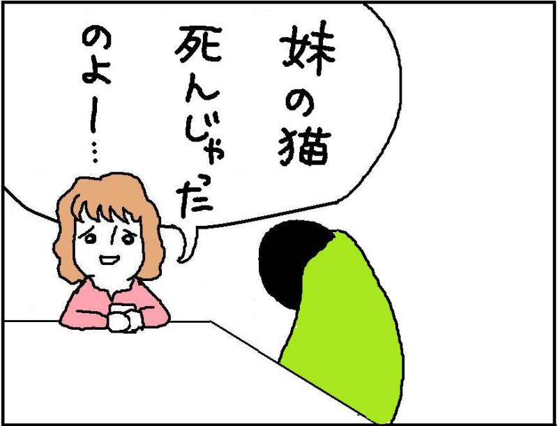 ホリー絵日記