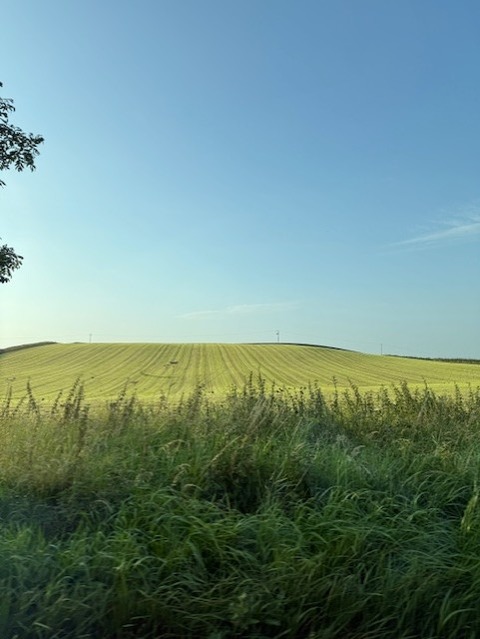 thumbnail_IMG_7241