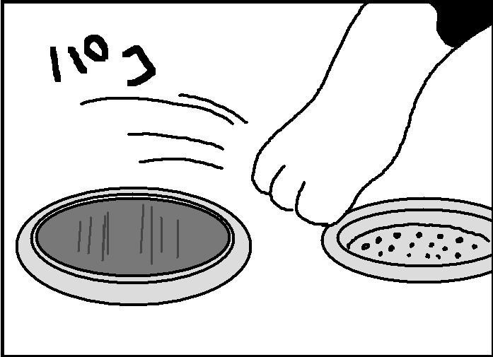 ホリー絵日記