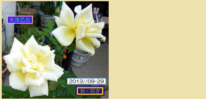 HT=929Å·ÄŲµ½÷