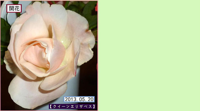 CB520ht¡Ú¥¯¥¤¡¼¥ó¥¨¥ê¥¶¥Ù¥¹¡Û