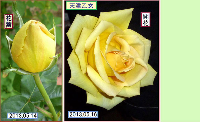 CB516ht¡ãÅ·ÄŲµ½÷¡ä