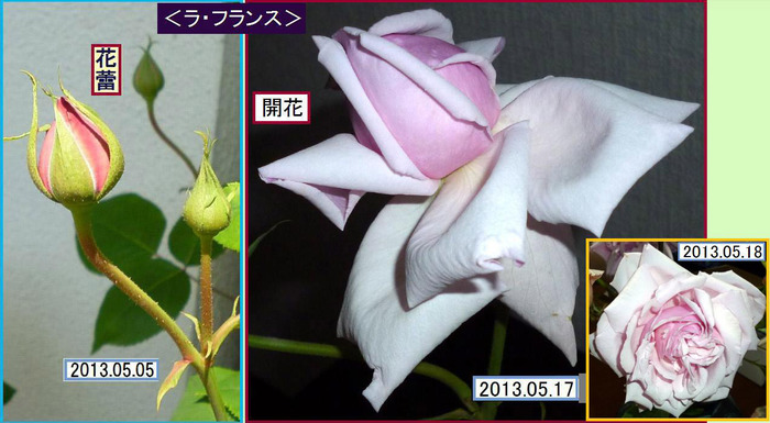 CB518ht=¡ã¥é¡¦¥Õ¥é¥ó¥¹¡ä
