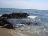 CIMG8012�ޥ�5