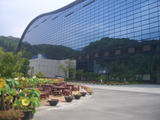 CIMG2782�彣��Ω��ʪ��