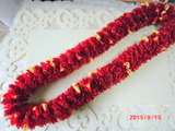 CIMG5635