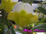 CIMG1563��4