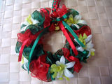 CIMG7218クリスマス2010C