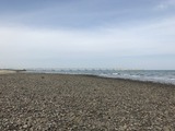 IMG_0733