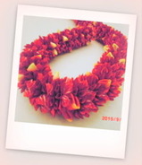 CIMG5631