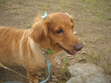 CIMG2056 2013ώġގݎ