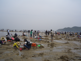 CIMG8066箕島2