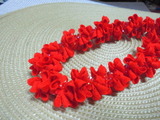 CIMG8803