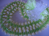 CIMG3631�ޡ�����å�3