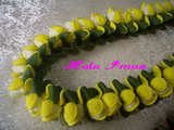 CIMG1925�ێ����ގʎގ��Ď�1