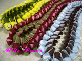 CIMG1934�ێ����ގʎގ��Ď�5