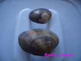 CIMG1972µðÂçŽ±Ž»ŽØ