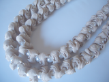 CIMG4612fura1