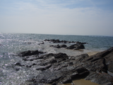 CIMG8015 �ޥ�8