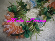 CIMG2012 holoimua ���ޡ��쥤1