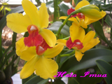 CIMG1562��3