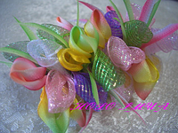 CIMG3652����������5