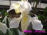 CIMG1565��6