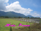 CIMG0498湯布院12
