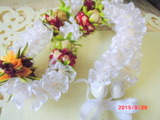 CIMG5668
