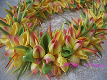 CIMG3090���ץ��ꥢ2