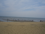 CIMG8017 �ޥ�6