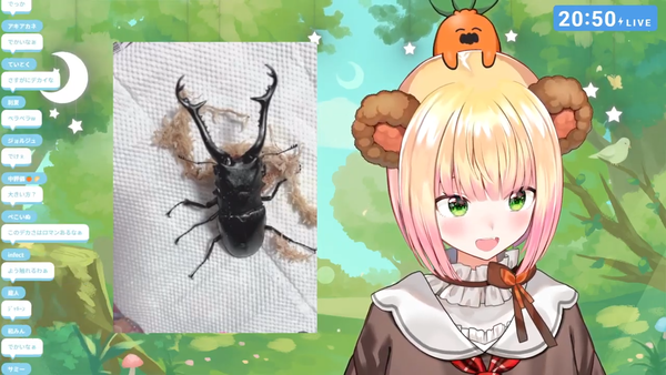 no title