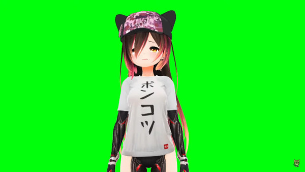 capture2479
