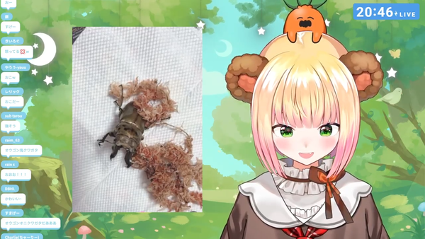 no title