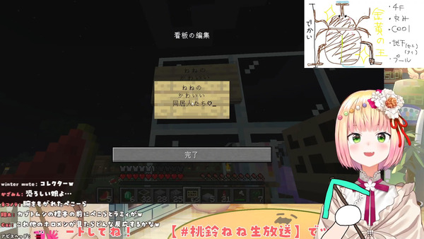 capture2213