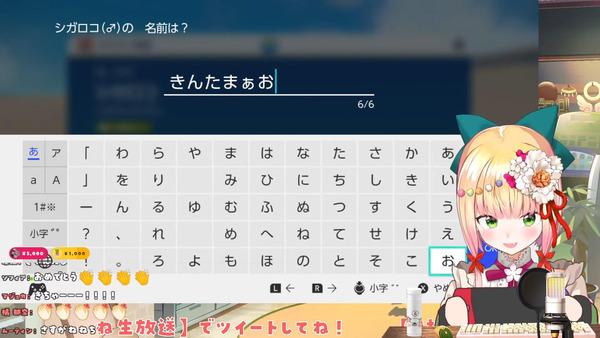 capture2119