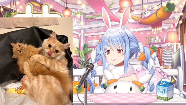 no title