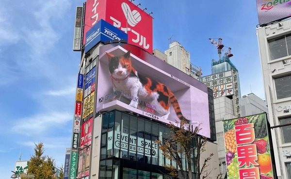 Crossshinjuku-e1652273417716