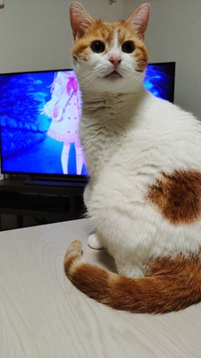 no title