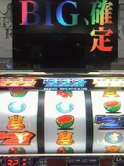 p4743_2007122503393263_1