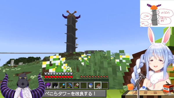 capture2591