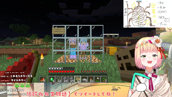 capture2214